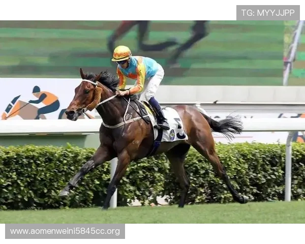 使用马会投注官网网页版了解最新赛事资讯与投注资讯提高中奖几率