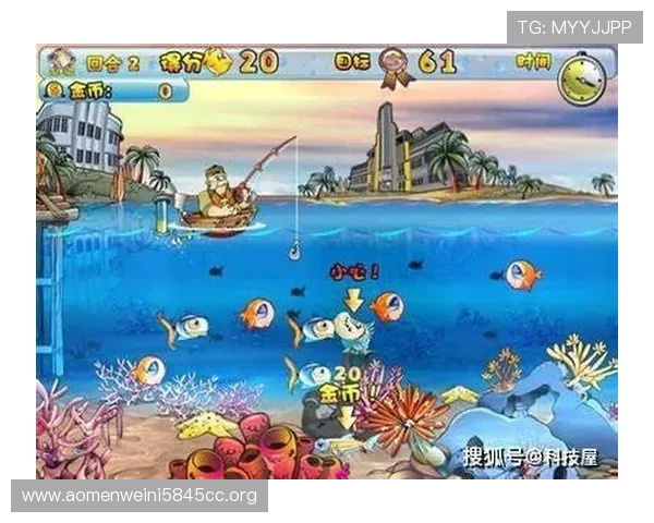 深入分析百家乐游戏玩法的流程，从入门到高手的完整操作指南